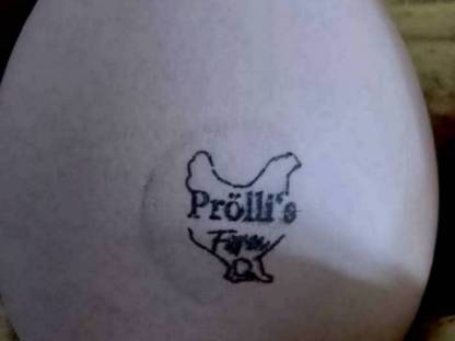 Bild 3:Bruteier oder Küken