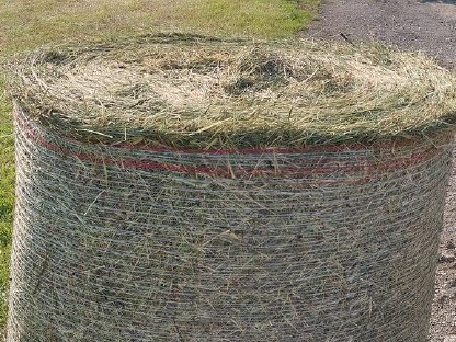 Bild 2:Bio Heuballen