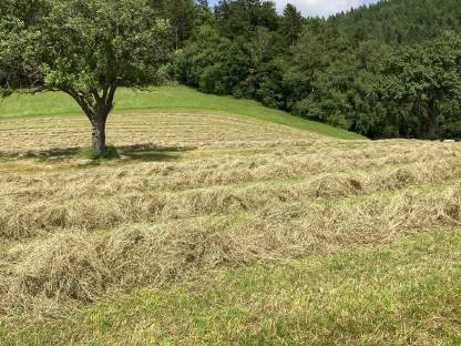 Bild 2:Heuballen 130 cm