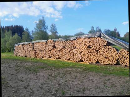 Brennholz Fichte, Buche