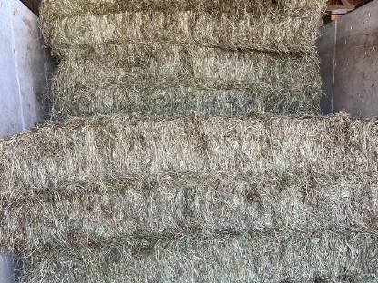 Bild 2:Heu in Quaderballen 1. Schnitt 2025