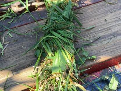 Bild 9:Mengele Garant 430/3