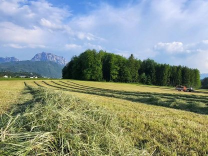 Bild 2:Heuballen Mahd 16.06.25