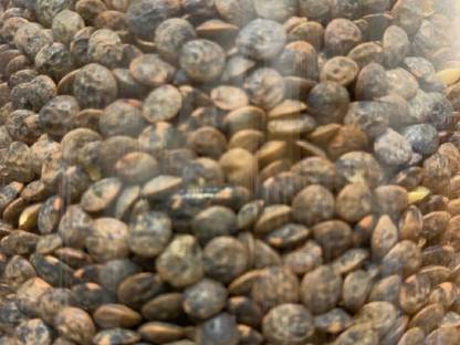 Bild 3:Bio-Tellerlinsen grün