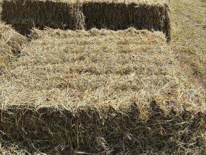 Bild 7:Kleine Heuquaderballen