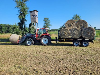 Heuballen 1. Schnitt 2025 zu verkaufen