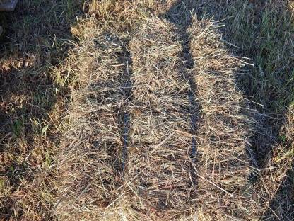 Bild 6:Bio Kleinballen Hochdruckballen