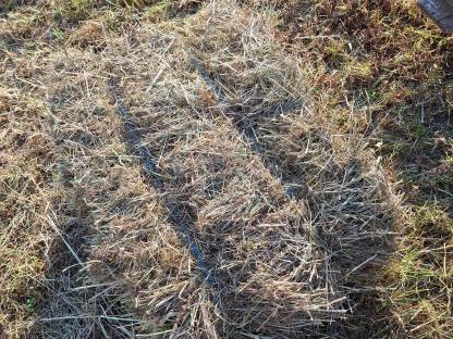 Bild 5:Bio Kleinballen Hochdruckballen