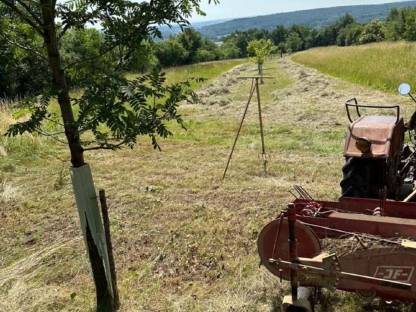Bild 3:Heu 1. Schnitt 2025