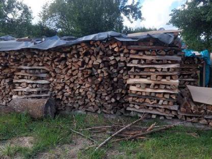 Bild 2:Gemischtes Brennholz