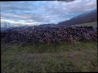 Bild 3:Brennholz ca. 15 m Hartholz