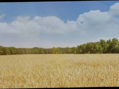 Stroh ab feld