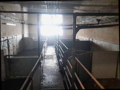 Bild 4:Zuchtenstalleinrichtung