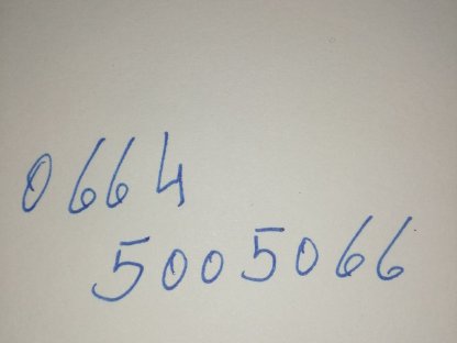 Bild 4:Kaninchen/Hasen