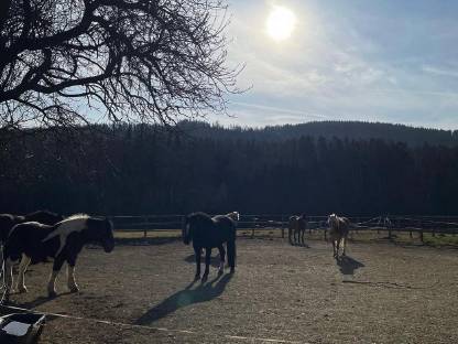Einstellplätze frei