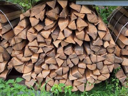 Bild 2:Brennholz Esche