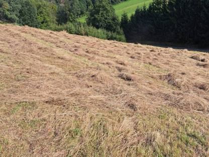 Heukleinballen