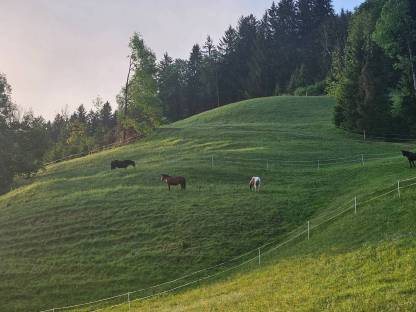 Einstellplatz Vollpension