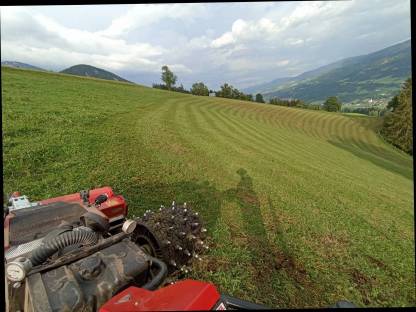 Bild 3:Mulchen von sämtlichen Flächen