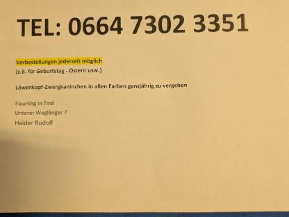 Bild 2:Laufend Zwergkaninchen in allen Farben zu vergeben