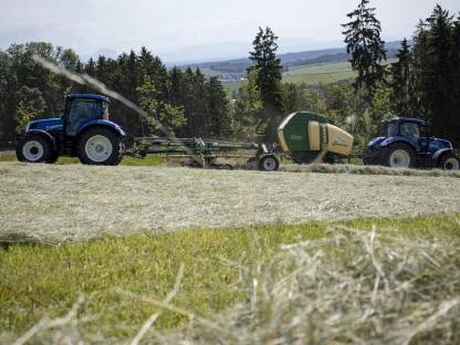 Bild 4:Heurundballen – Ernte 2025