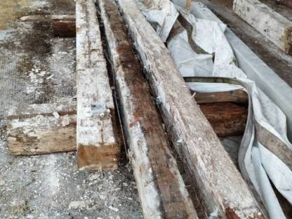 Bild 2:Altholz