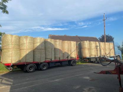 Bild 5:Ausverkauft! Jetzt für 2026 bestellen!