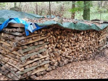 Bild 4:Brennholz Buche