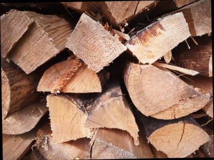 Brennholz hart und weich