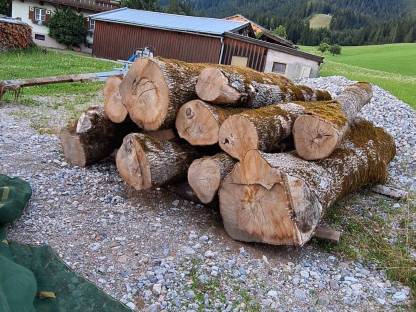 Eschen Rundholz