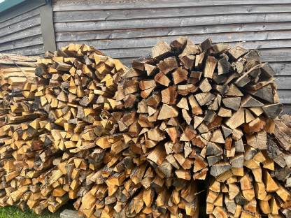 Bild 2:Eichen-, Eschen-, Buchenholz