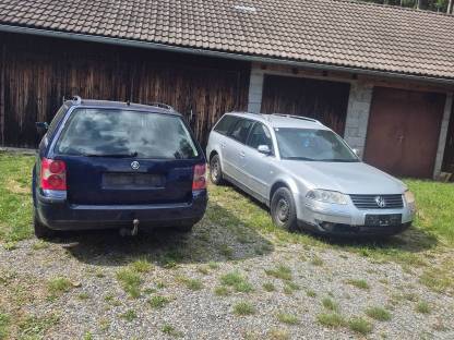 Schlachte 3BG Passat