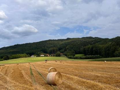 Strohballen (32 Messer)