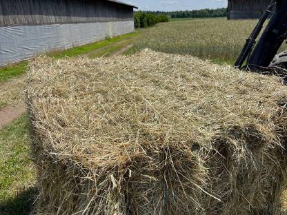 Bild 2:Heu Quaderballen