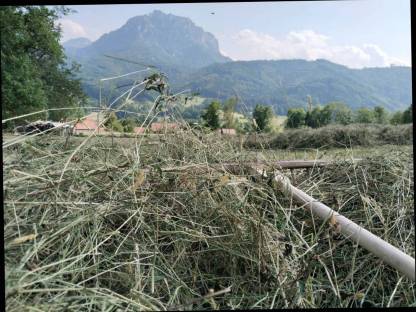 Bild 2:Heuballen 1,25 m