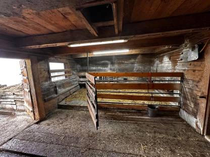 Bild 7:Neuer Preis! Einstellplatz für Pferd oder Pony