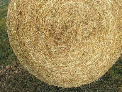 Bild 2:Heuballen BIO