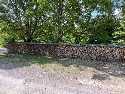 Brennholz Buche