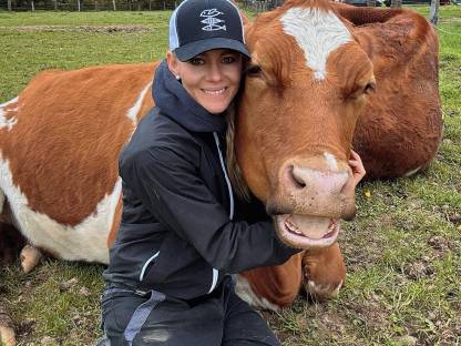 Bild 6:Einstellplatz / Offenstall