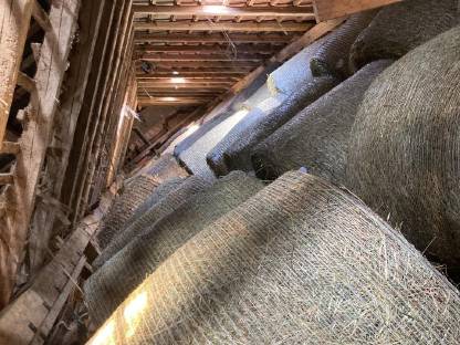 Bild 2:Bio Heuballen