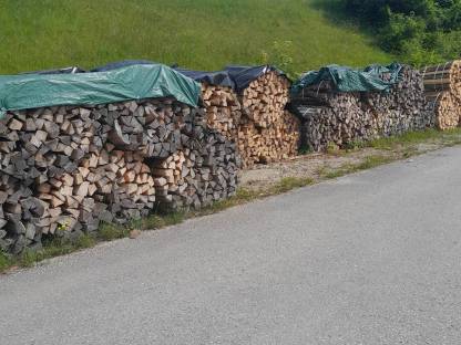 Holzbündel