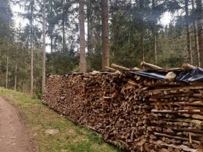 Brennholz