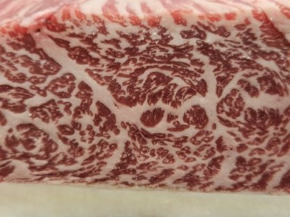 Bild 8:Wagyu - Rinder 100% Vollblut