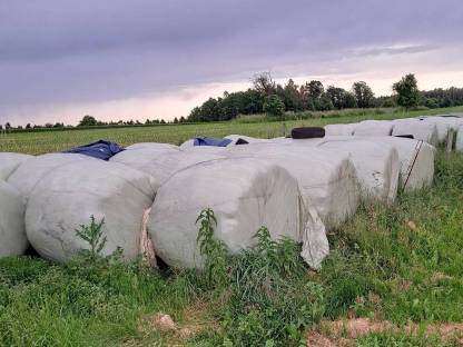 Bild 2:Siloballen, Silageballen, Silo