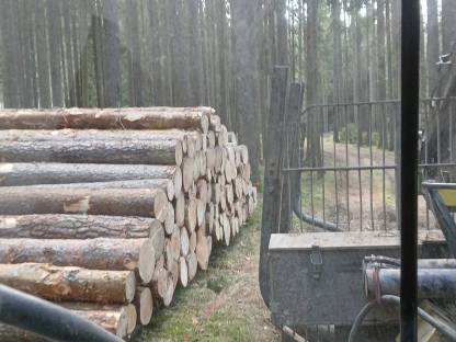 Holzschlägerung