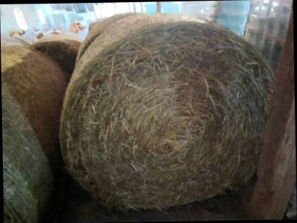 Bild 2:Heuballen