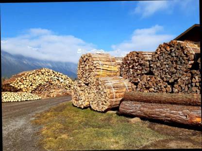 Bild 3:Brennholz