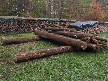 Bild 2:Brennholz ofenfertig Hartholz