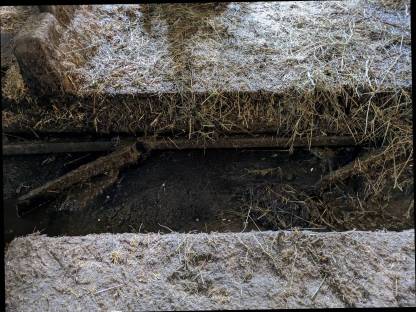 Bild 9:Aufstallung für Kälber und Kühe