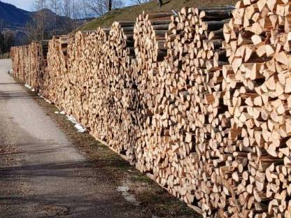 Brennholz Buche, Esche